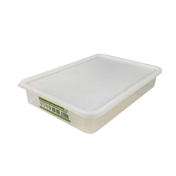 2.5L Plastic Storage Box 30.5x21.5x5.5cm